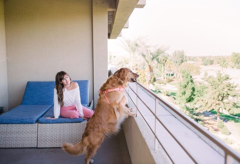 펜트하우스 스위트, Grand Hyatt Indian Wells Resort & Villas