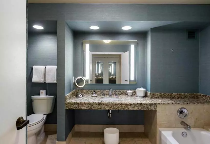 اتاق استاندارد با تخت دو نفره بزرگ برای معلولان, Grand Hyatt Indian Wells Resort & Villas