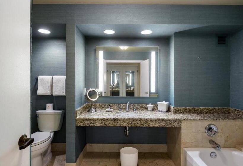 장애인을 위한 킹사이즈 침대 스탠다드 룸, Grand Hyatt Indian Wells Resort & Villas