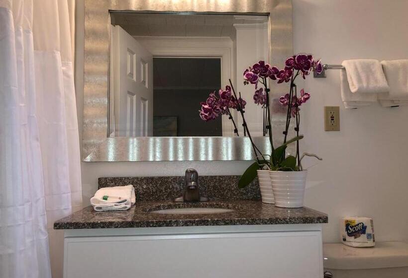 חדר סטנדרט עם מיטת קינג, Hyannis Inn