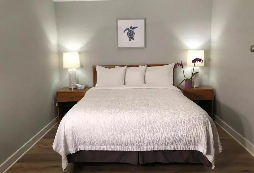 اتاق لوکس با وان آب گرم, Hyannis Inn