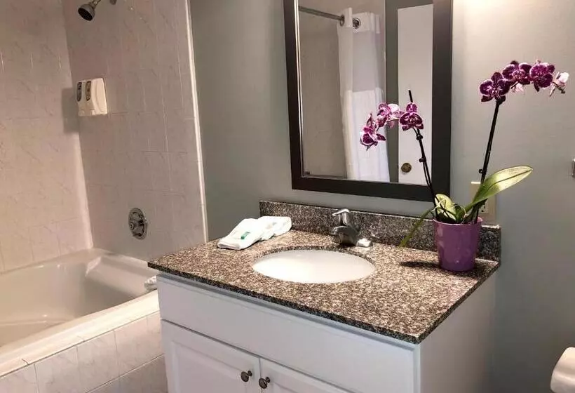 اتاق لوکس با وان آب گرم, Hyannis Inn