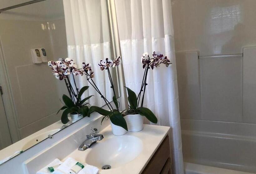 חדר דלוקס, Hyannis Inn