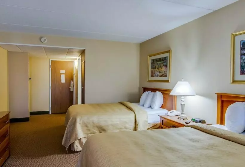 ２ダブルベッドのスタンダードルーム, Quality Hotel And Conference Center
