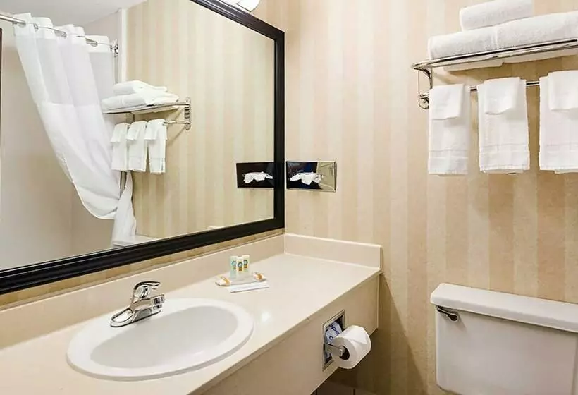 ２ダブルベッドのスタンダードルーム, Quality Hotel And Conference Center
