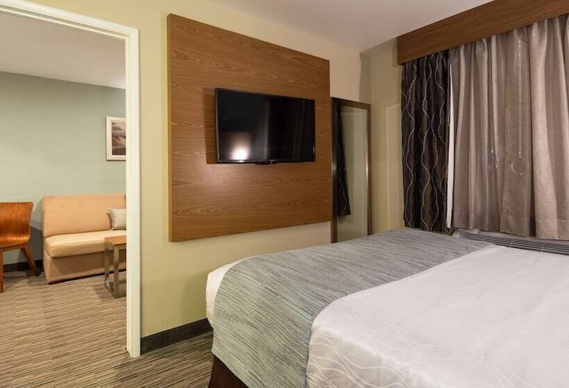 套房, Best Western Carlsbad By The Sea