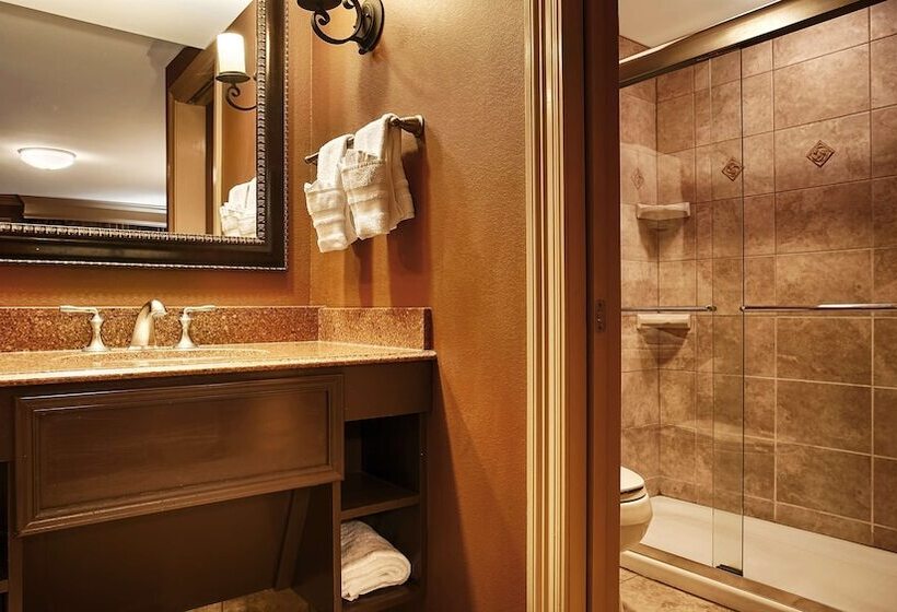 اتاق استاندارد با 2 تخت دوبل, Best Western Plus French Quarter Courtyard