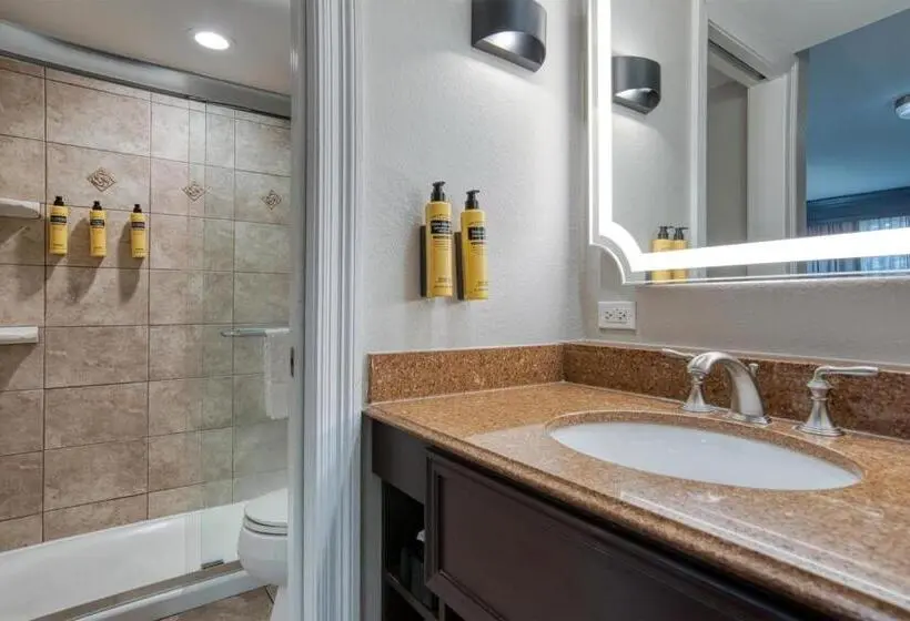 اتاق استاندارد با تخت بزرگ, Best Western Plus French Quarter Courtyard