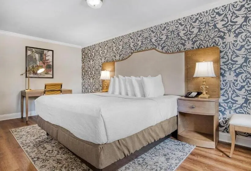 Standard Room King Size Bed