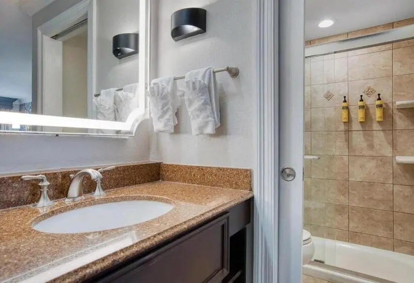 اتاق استاندارد اینتریور, Best Western Plus French Quarter Courtyard