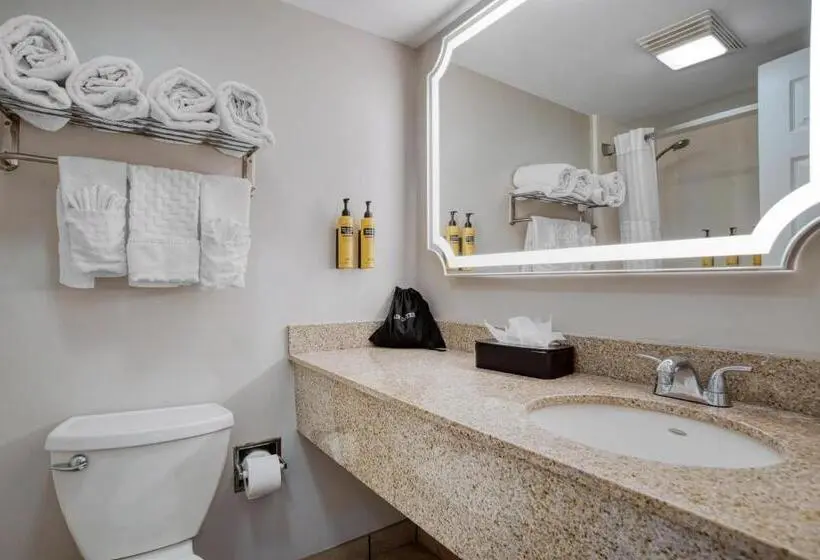 اتاق اجرایی با تخت بزرگ, Best Western Plus French Quarter Courtyard