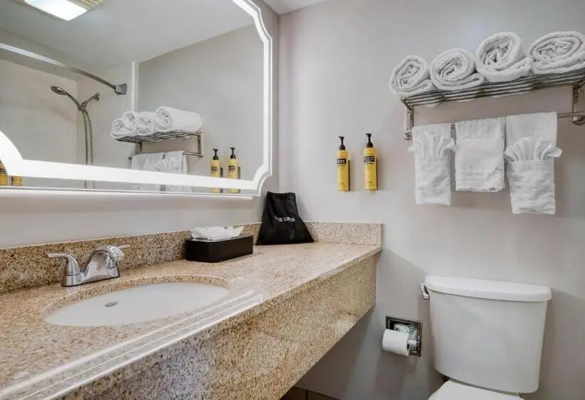 اتاق اجرایی, Best Western Plus French Quarter Courtyard