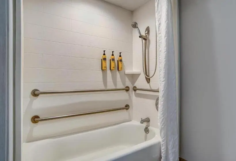 اتاق استاندارد با تخت بزرگ برای معلولان, Best Western Plus French Quarter Courtyard