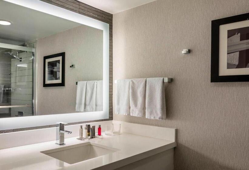 장애인을 위한 킹사이즈 침대 스탠다드 룸, Boston Marriott Newton