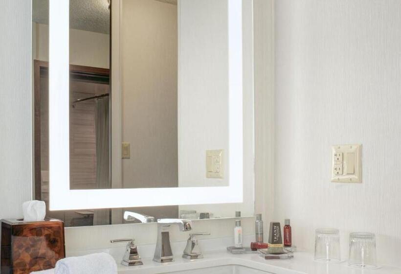 스탠다드 룸 킹사이즈 침대, Detroit Marriott Southfield