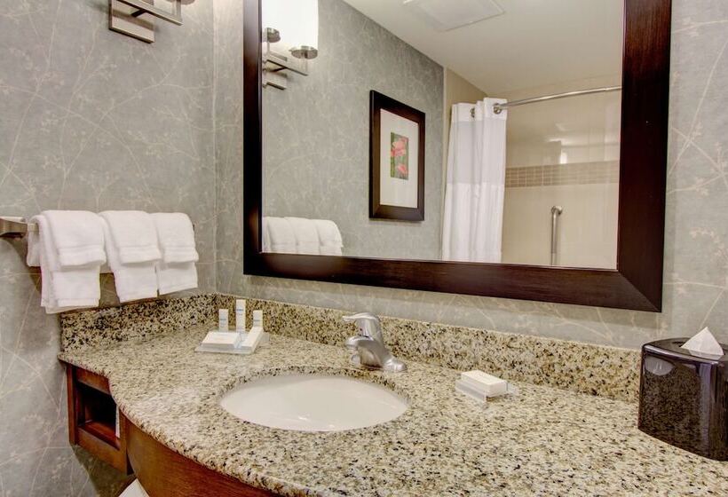 Номер Стандарт 2 Двуспальные Кровати, Hilton Garden Inn Charleston / Mt. Pleasant