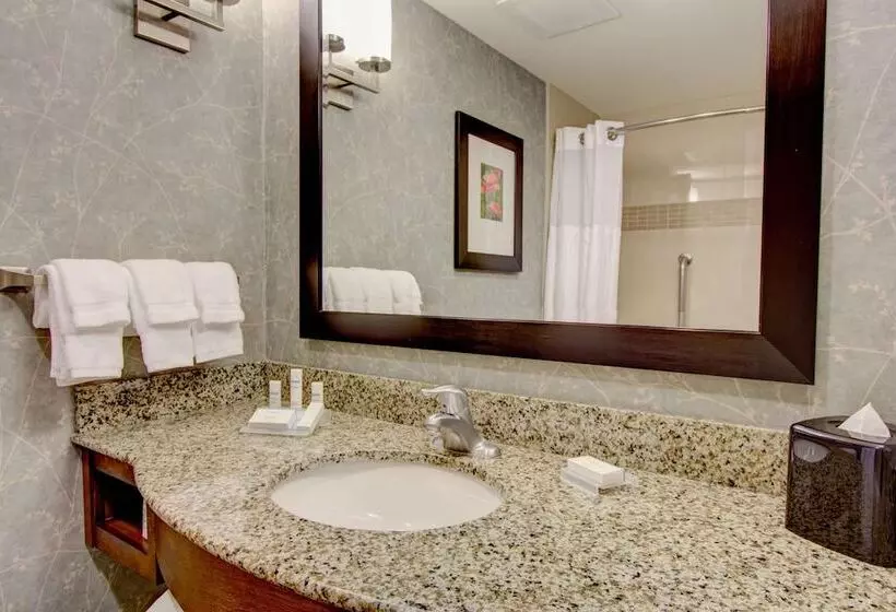 Standard-huone 2 Parivuodetta, Hilton Garden Inn Charleston / Mt. Pleasant