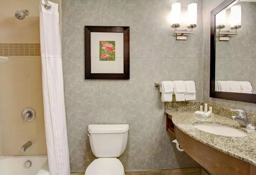 Standard-huone 2 Parivuodetta, Hilton Garden Inn Charleston / Mt. Pleasant