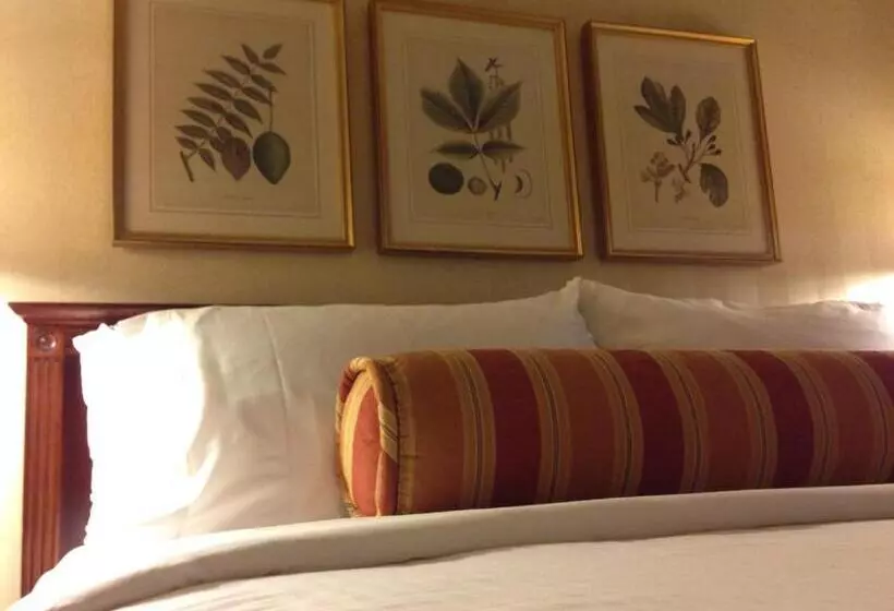 اتاق لوکس با تخت بزرگ, Mayflower Park