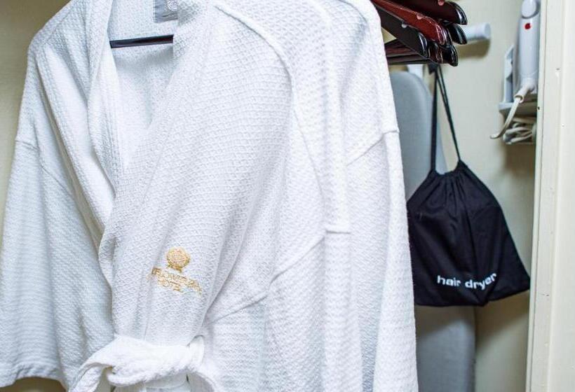 סוויטה, Mayflower Park