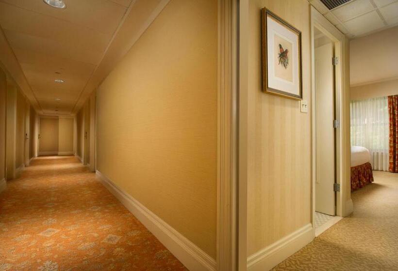 חדר קלאסי, Mayflower Park