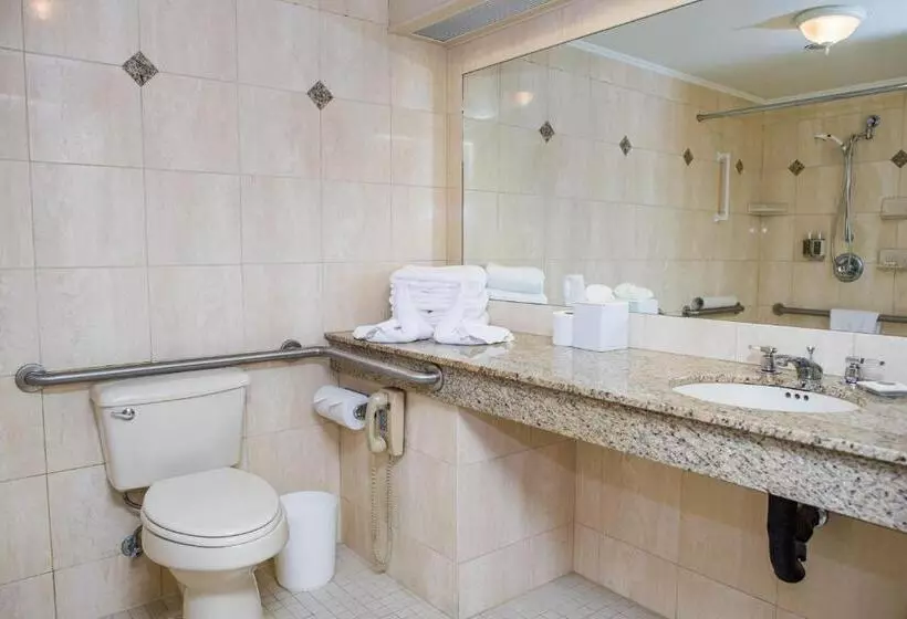 اتاق استاندارد برای معلولان, Mayflower Park