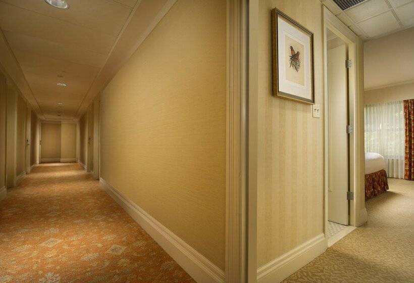 סוויטה אקזקיוטיב, Mayflower Park