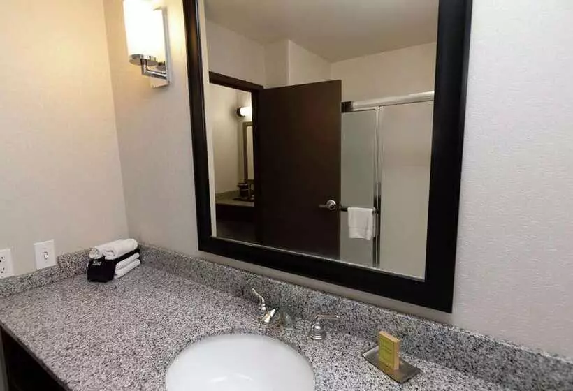 اتاق استاندارد با تخت بزرگ, Mdr Marina del Rey, a Doubletree by Hilton