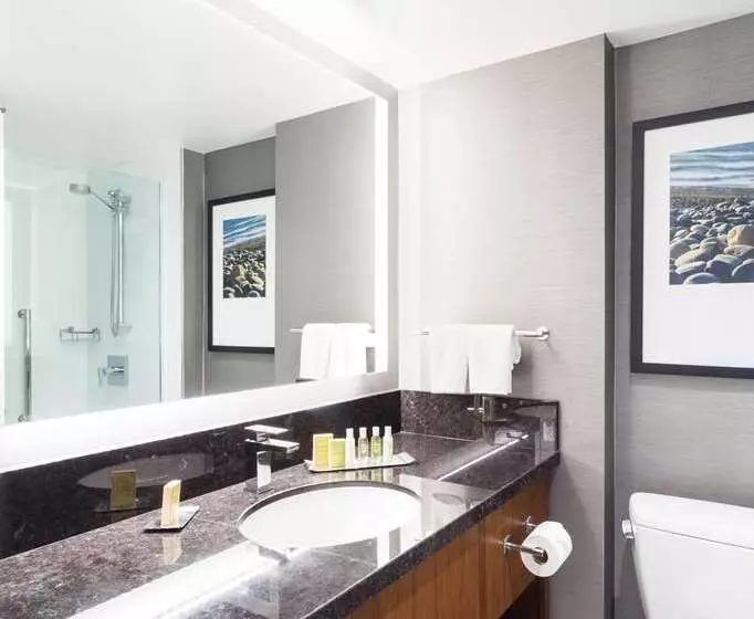اتاق استاندارد با تخت بزرگ, Mdr Marina del Rey, a Doubletree by Hilton