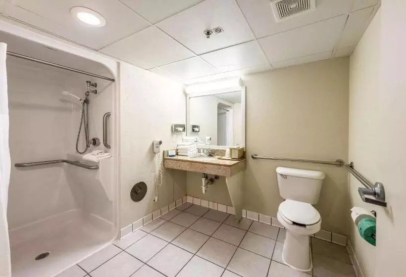 身障者適用キングサイズベッドルーム, Quality Inn Bradley Bourbonnais