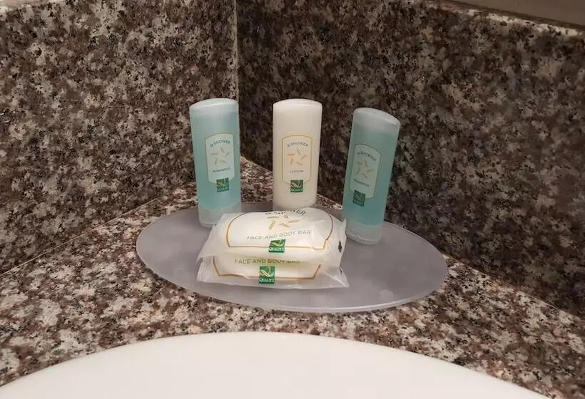 Standard-huone 2 Parivuodetta, Quality Inn Escondido San Diego North County