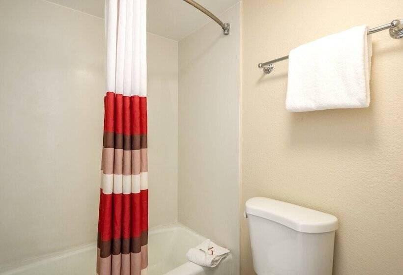 غرفة ديلوكس, Red Roof Inn Tampa Bay  St Petersburg