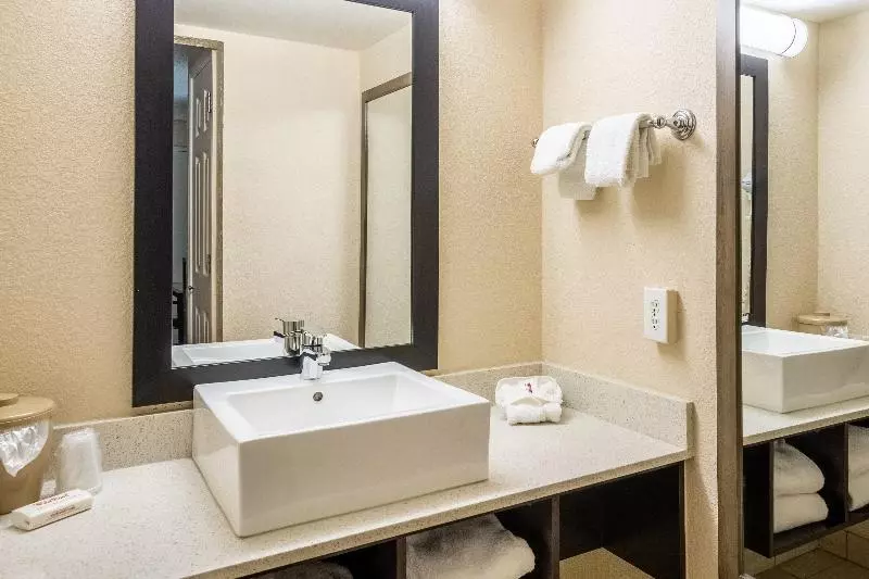 デラックスルーム, Red Roof Inn Tampa Bay  St Petersburg