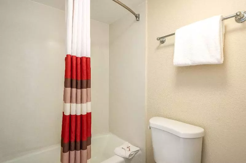 デラックスルーム, Red Roof Inn Tampa Bay  St Petersburg