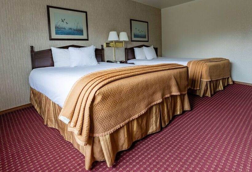 Номер Стандарт 2 Двуспальные Кровати, Travelodge By Wyndham Juneau
