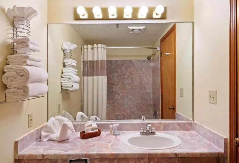 اتاق استاندارد برای معلولان, Travelodge By Wyndham Juneau