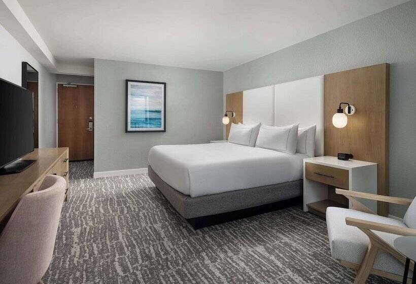 اتاق استاندارد با تخت بزرگ, Hilton Myrtle Beach Resort