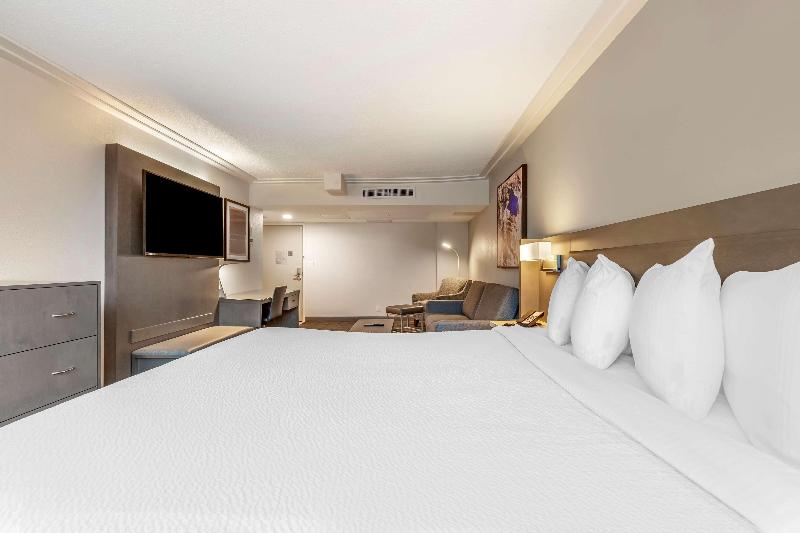 适合残疾人士使用的带超级大床的标准间, Best Western Premier Rockville Hotel & Suites