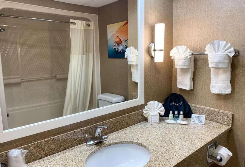 غرفة قياسية سرير كينج, Clarion Hotel & Conference Center