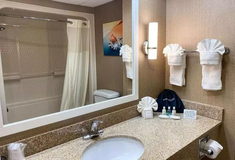 キングサイズベッドのスタンダードルーム, Clarion Hotel & Conference Center