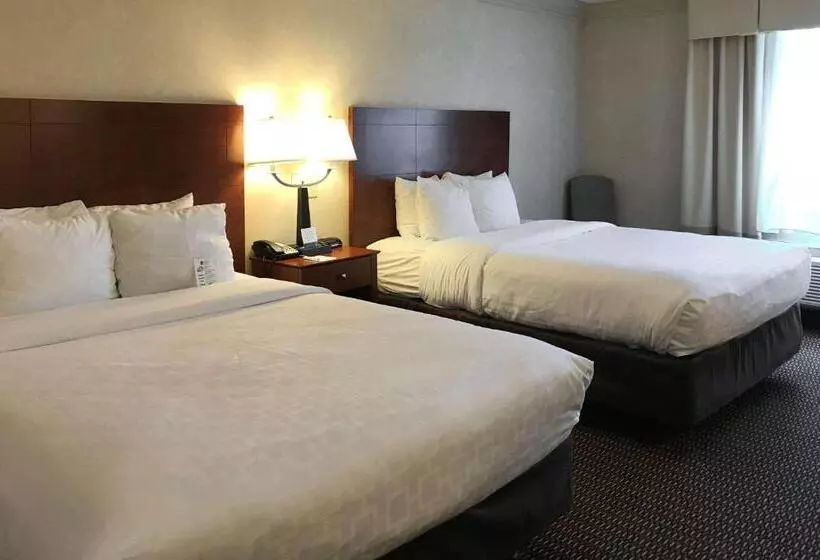 スタンダードルーム, Clarion Hotel & Conference Center