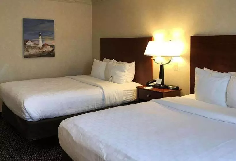スタンダードルーム, Clarion Hotel & Conference Center