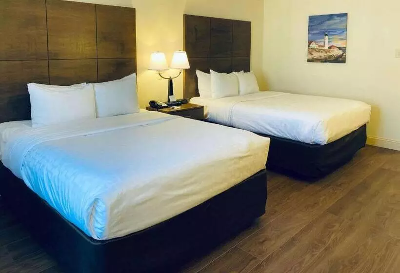 プールビュースタンダードルーム, Clarion Hotel & Conference Center