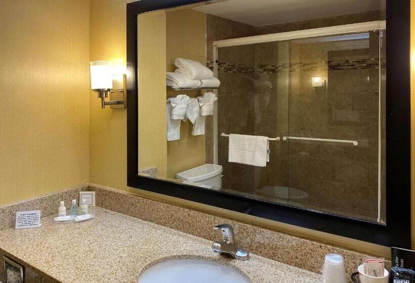 Стандартный Номер Кровать Кинг, Clarion Hotel & Conference Center