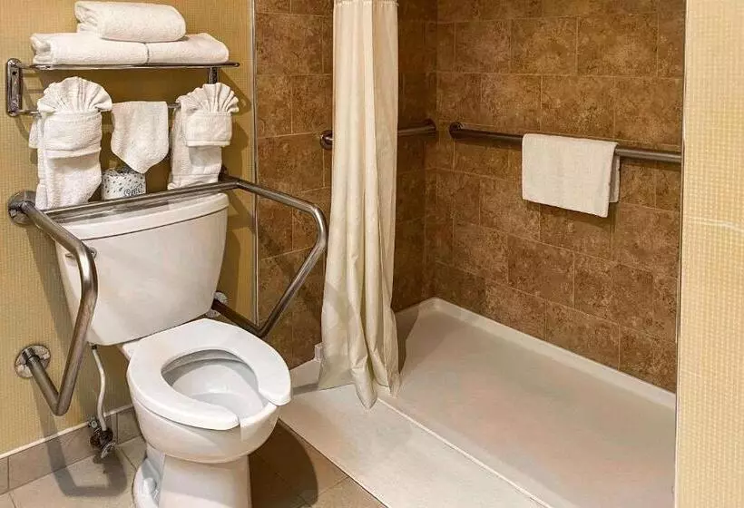 身障者適用キングサイズベッドルーム, Clarion Hotel & Conference Center