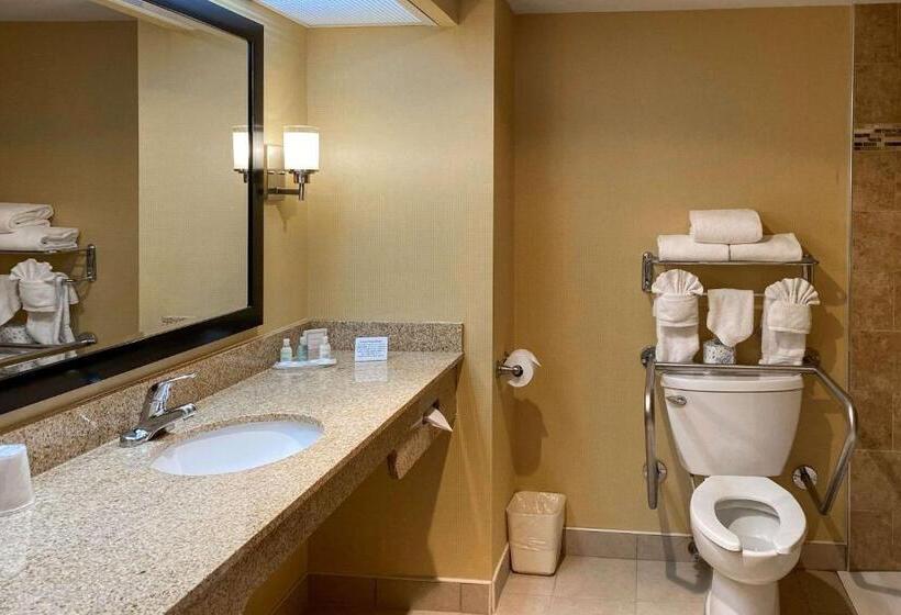 غرفة قياسية سرير كينج لذوى الإحتياجات الخاصة, Clarion Hotel & Conference Center