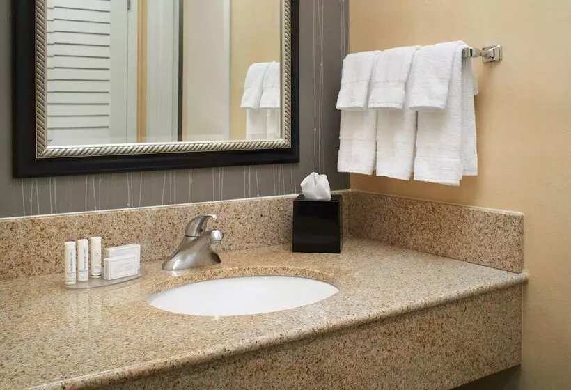 اتاق استاندارد با 2 تخت دوبل, Courtyard By Marriott Rockford