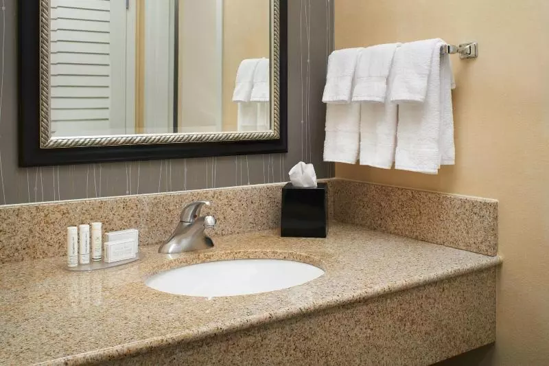 اتاق استاندارد با تخت بزرگ, Courtyard By Marriott Rockford