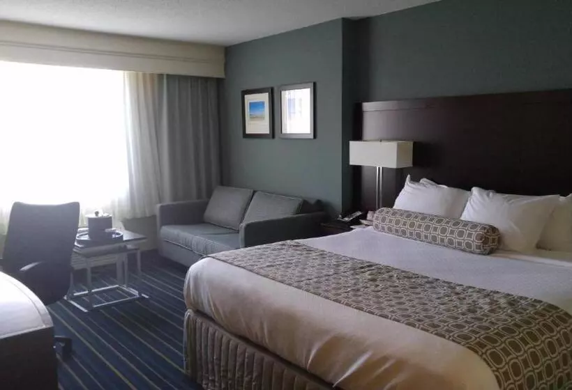 スタンダードルーム, Crowne Plaza Virginia Beach Town Center By Ihg
