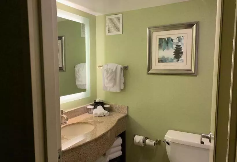 スタンダードルーム, Crowne Plaza Virginia Beach Town Center By Ihg